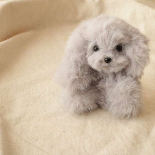 トイプードル シルバー モールドール クリスマス プレゼント