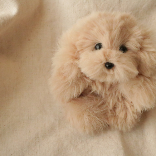 トイプードル マルプー モールドール 犬 モカ ぬいぐるみ ぬい活