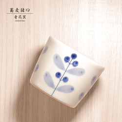 e0a561307f532fee869f8dd9b520a2