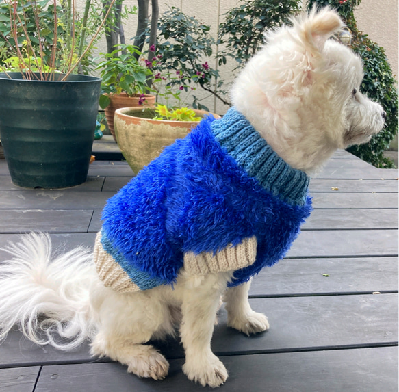 受注製作　新色追加　犬用ふわふわニットベスト風セーター　SS～LL 1枚目の画像