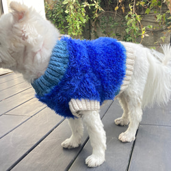 受注製作　新色追加　犬用ふわふわニットベスト風セーター　SS～LL 2枚目の画像