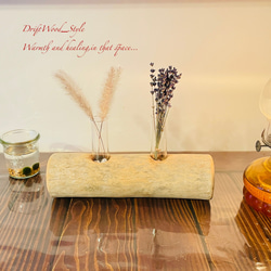 流木インテリア シンプルな流木の一輪挿し N1 5枚目の画像