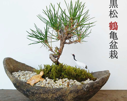 f2efb91b48daf3da30e4dd1184ee0d