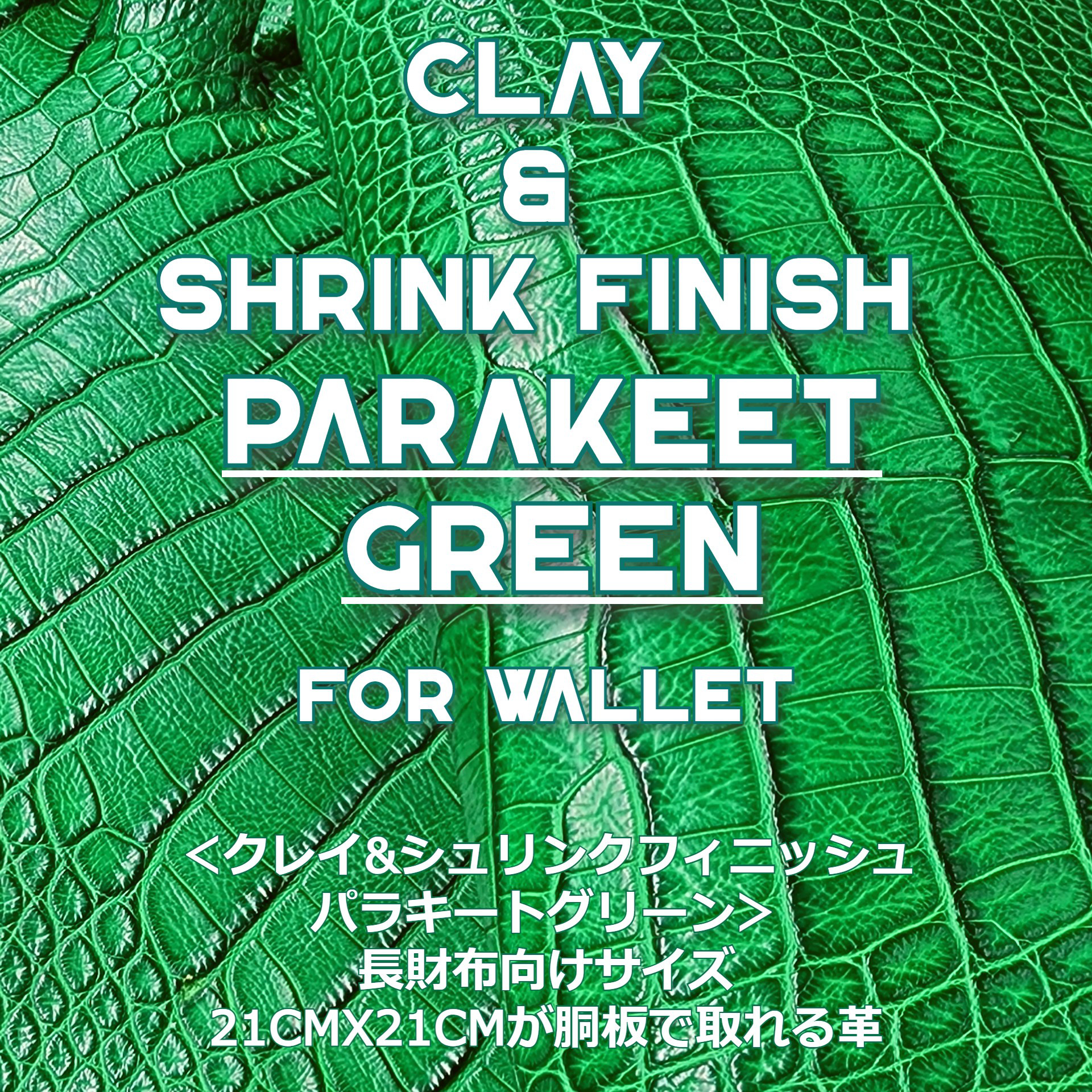 ワニ革  クレイ&シュリンクフィニッシュ パラキートグリーン「長財布向け」サイズ No.CM0200