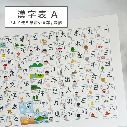 漢方鑑賞用標本　A3サイズ 楽天市場】志賀昆虫普及社【本格昆虫標本12点セット/特々小型