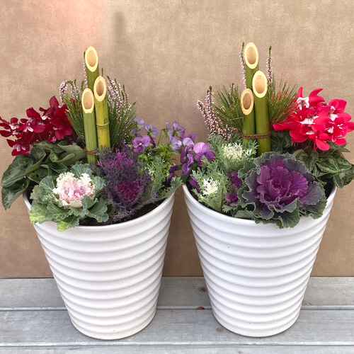 基本送料込み○一点物【お正月】紅白葉牡丹の洋風門松/寄せ植え