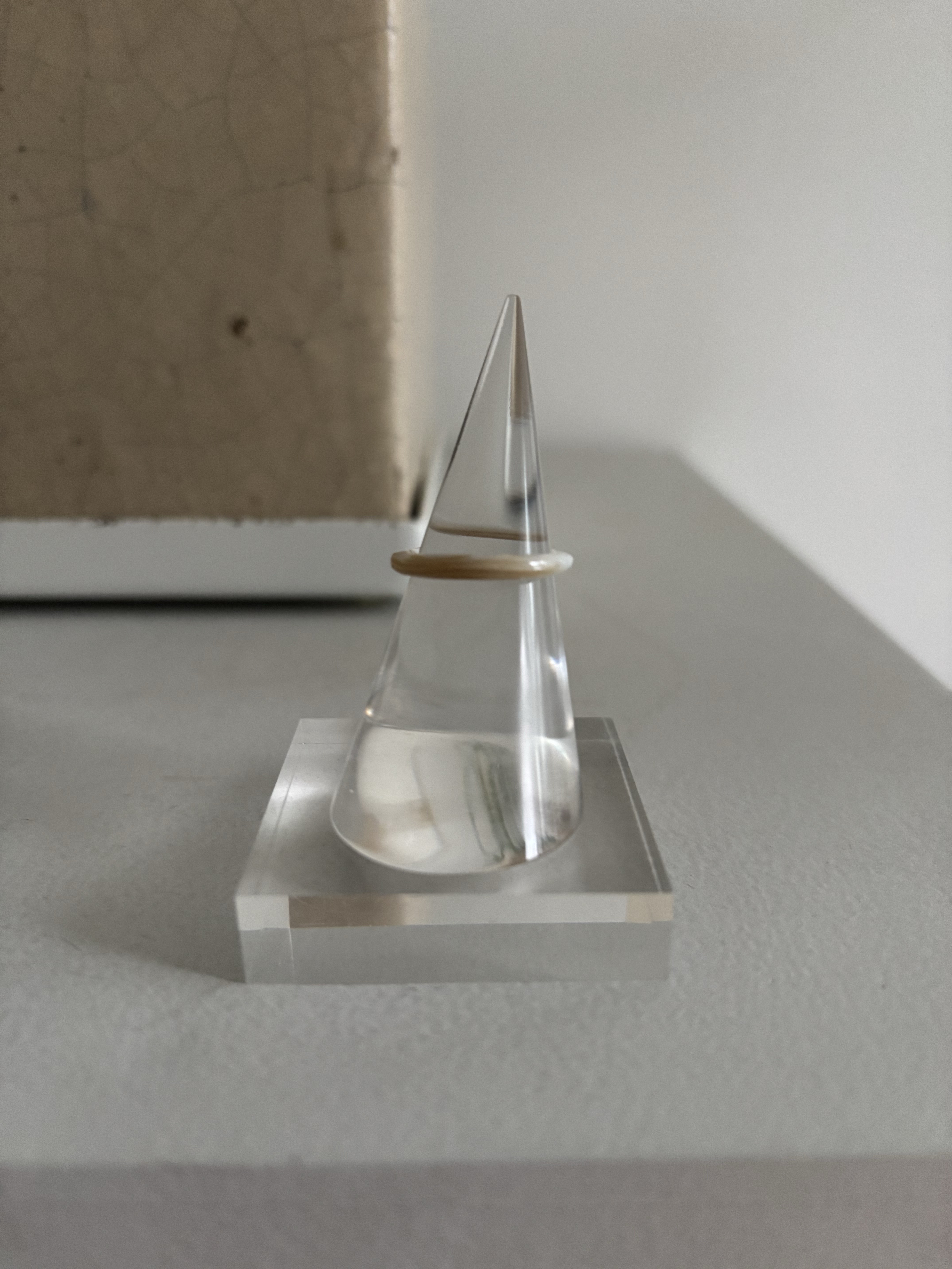 池蝶貝リング７号　池蝶貝