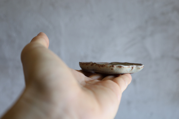  第15張的照片