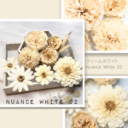 プリザーブドフラワー 花材 とりよせ品 マジョリカ・サイズ