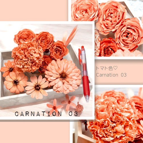 プリザーブドフラワー 花材 とりよせ品 マジョリカ・サイズ