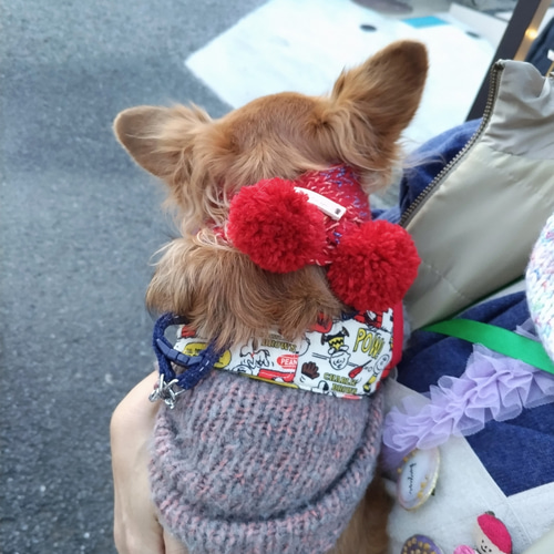 犬用ポンポンマフラー Мサイズ 本革 ダックス 豆柴 ペキニーズ ペット