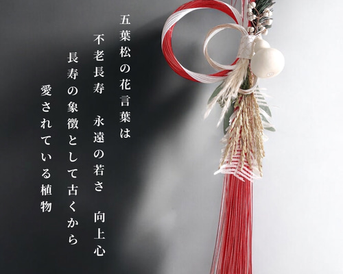 6df6043d9ee4dcd838f1cd74fa3da2