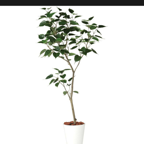 光触媒　人工観葉植物　ウォールグリーン　フェイクグリーン　ボダイジュ180 光触媒 人工観葉植物 ウォールグリーン フェイクグリーン インド