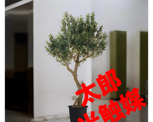光触媒　人工観葉植物　ウォールグリーン　フェイクグリーン　オリーブ250 光触媒 人工観葉植物 ウォールグリーン フェイクグリーン