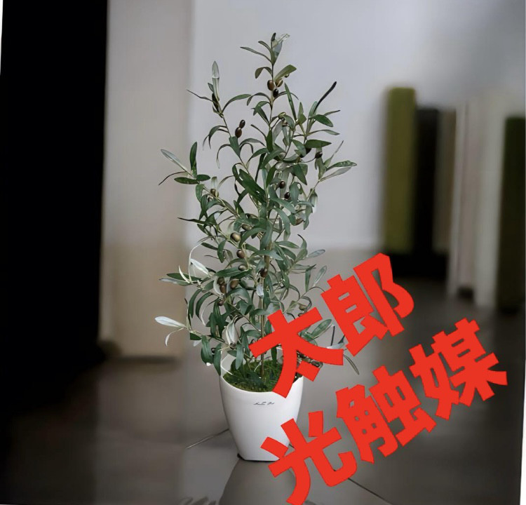 光触媒　人工観葉植物　ウォールグリーン　フェイクグリーン　オリーブ100s