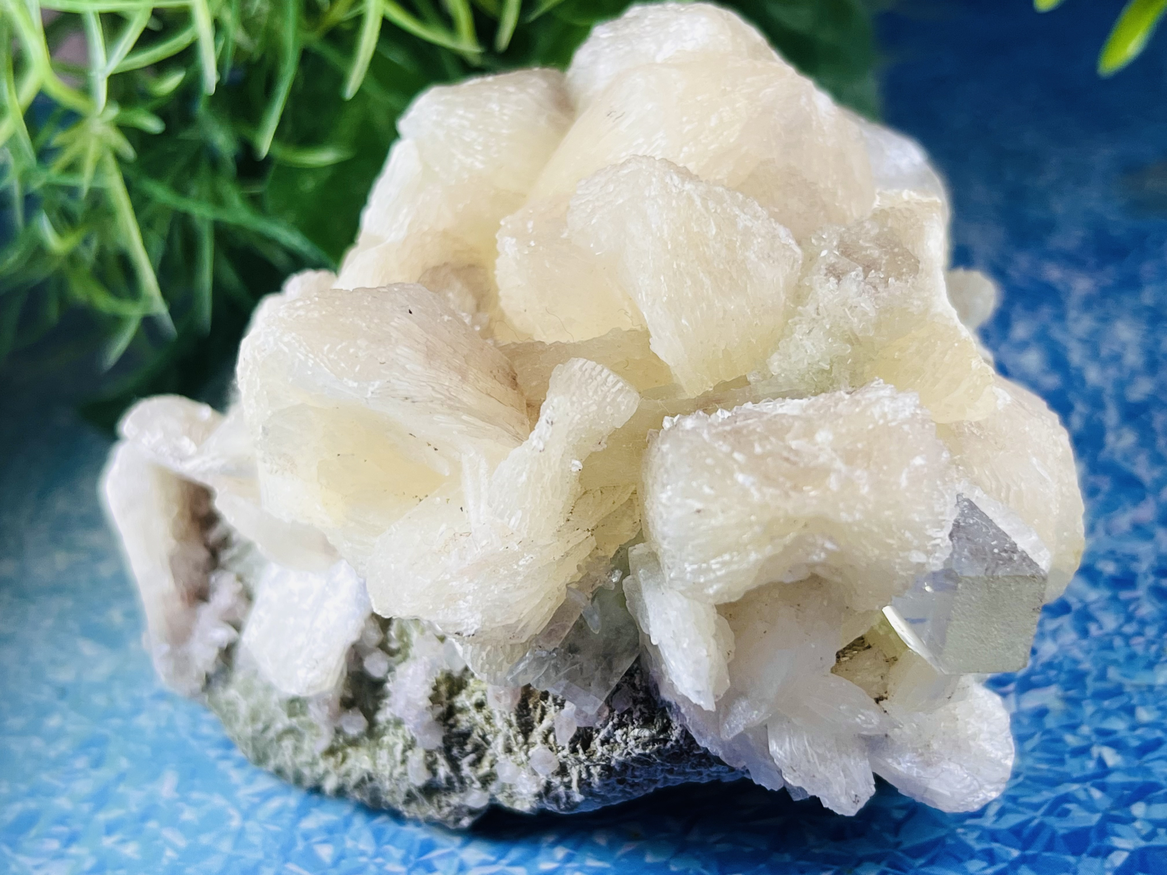 人魚姫の涙°⌖꙳ アポフィライト スティルバイト ラフストーン　魚眼石 束沸石