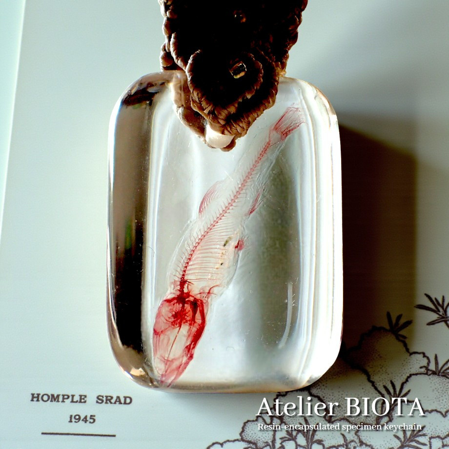 魚類単色染色樹脂封入標本キーホルダー