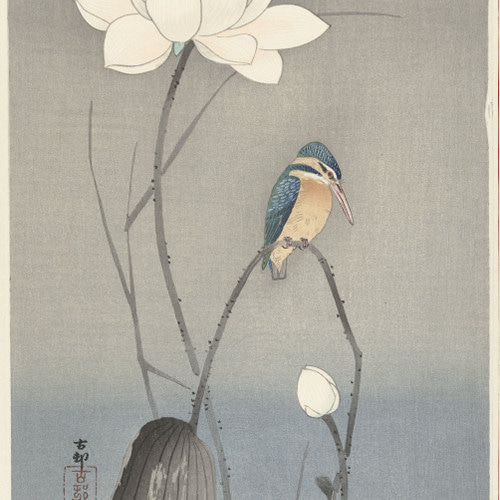 浮世絵☆全20巻☆毎日新聞社刊初版☆美人画☆役者絵☆花鳥景色☆☆価格交渉ＯＫ☆☆ 浮世絵☆全20巻☆毎日新聞社刊初版☆美人画☆役者絵☆花鳥景色