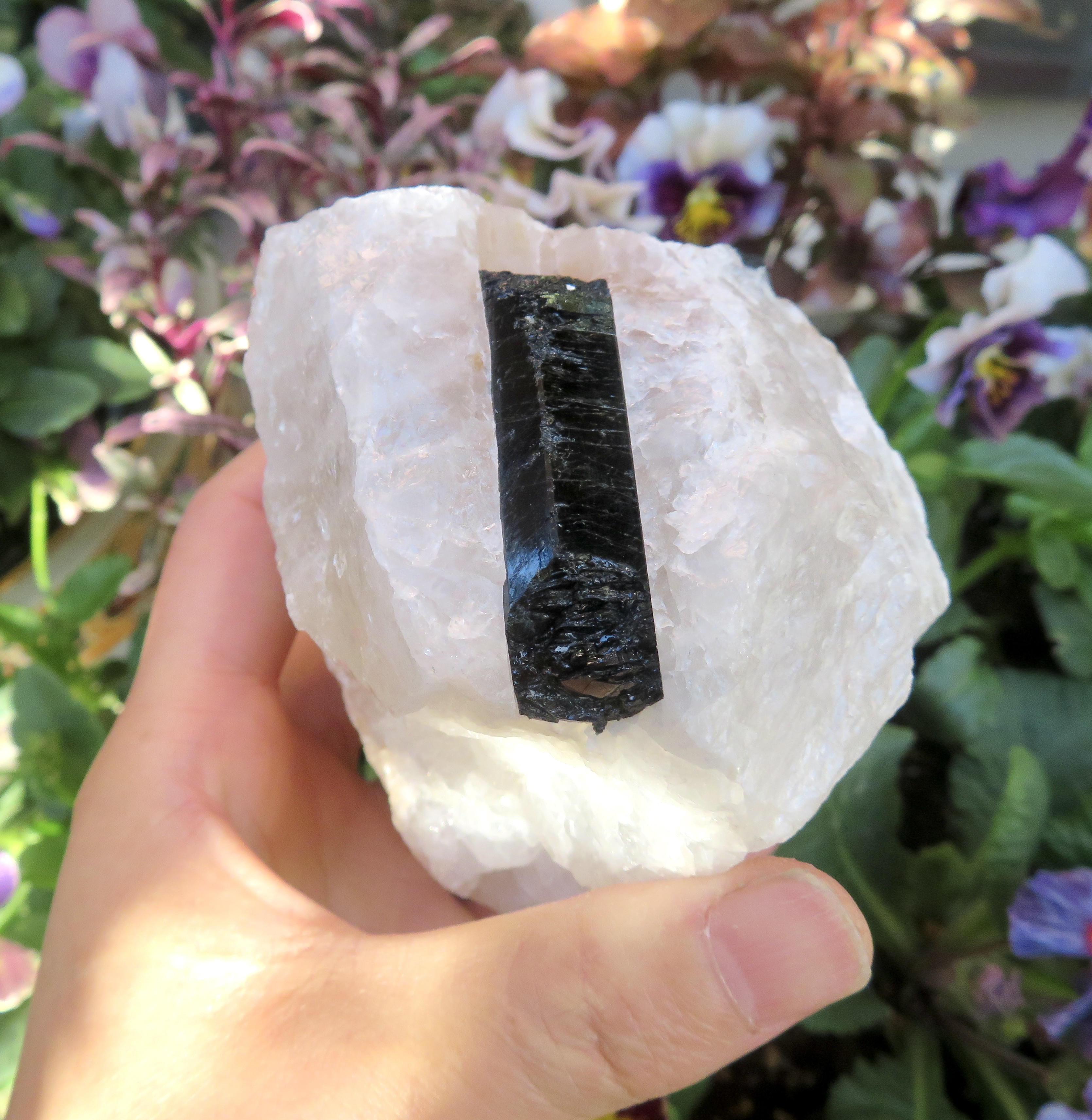 【美しい鉱物標本】ブラックトルマリンinクォーツの原石／709グラム