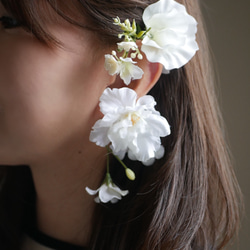 ccc925997d58ced2903c8d7b7e9f89