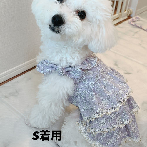 犬服 フリフリワンピース ペット服・アクセサリー Moe 通販