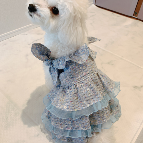 犬服　ハンドメイド　オシャレ女子♪ 選べる2種のフリフリワンピース 犬服 フリフリワンピース ペット服・アクセサリー Moe 通販