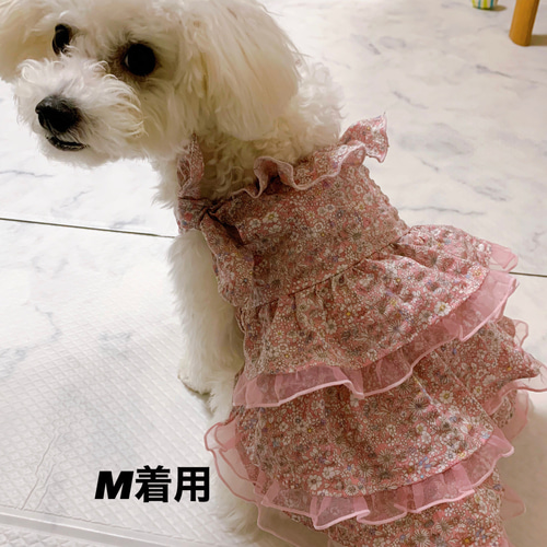 ema_rika　ハンドメイド　犬服　わんこ服　フリフリ3段フリルワンピ mqdefault.jpg