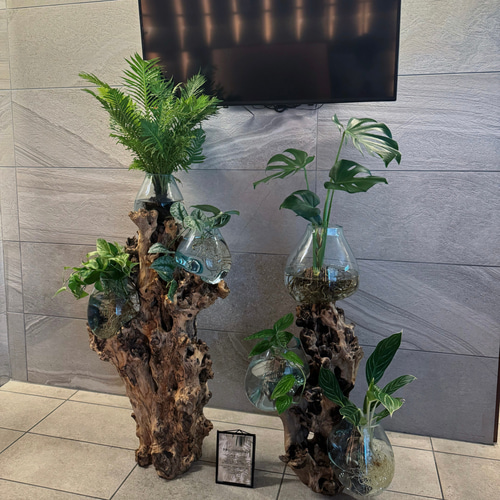 流木ガラス　天然流木　① バリ島インテリア雑貨✨流木✖️ガラスwood glass premium (現物商品