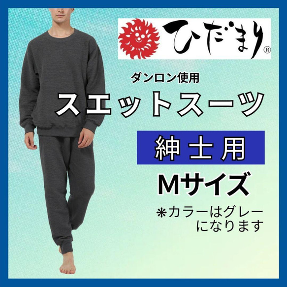 ひだまり スエットスーツ 上下 紳士用 Mサイズ ダンロン 抗菌・消臭