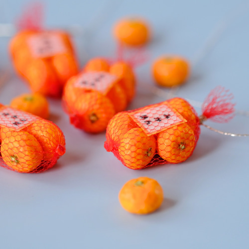 ネット入りみかん(片耳用) ピアス／イヤリング イヤリング