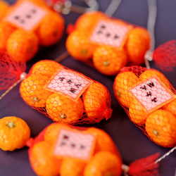 ネット入りみかん(片耳用) ピアス／イヤリング イヤリング