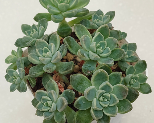 1831b2f3fab2c1eb7ac554e0188f66