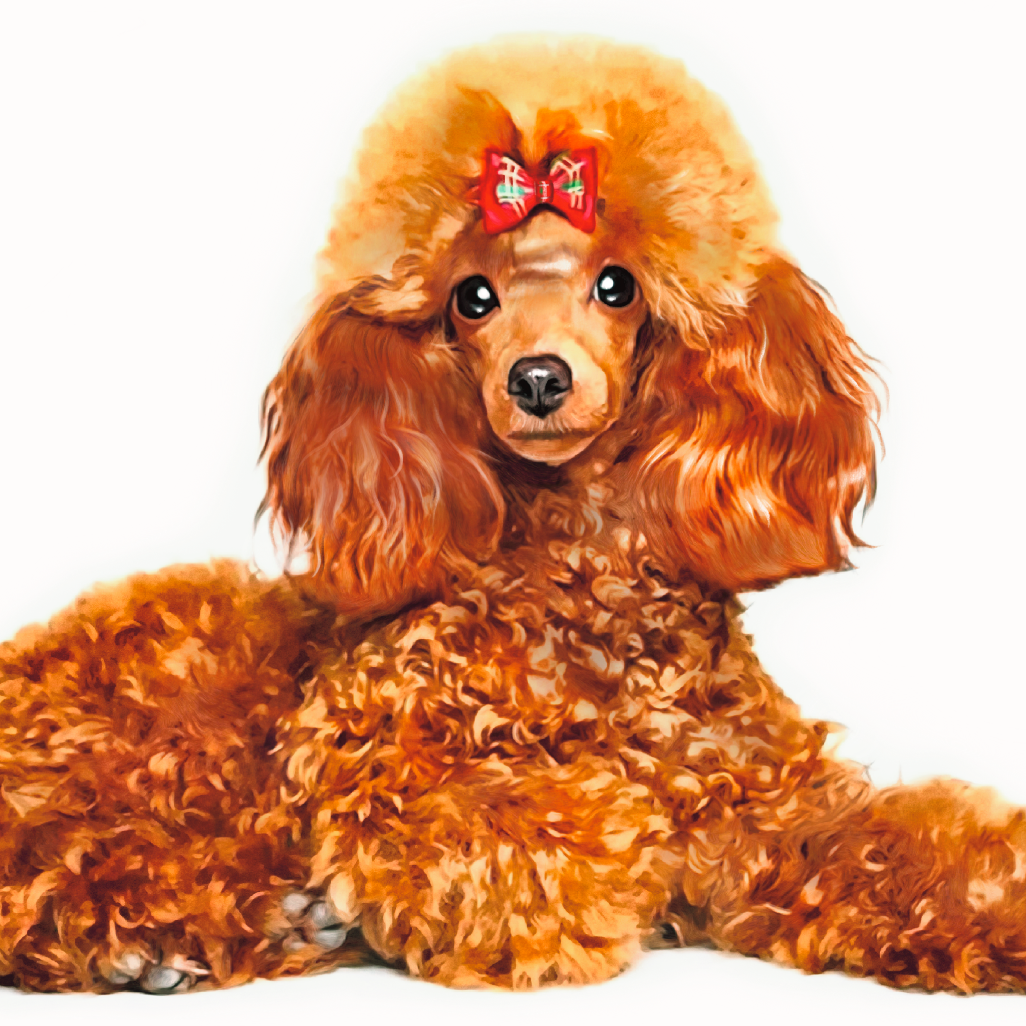 うちの子アート【似顔絵オーダー +マット台紙 +原画データ】ペットイラスト｜ペットアート｜ペット記念日｜ペット誕生日