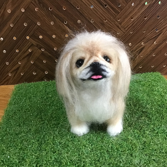ペキニーズ（パーティーカラー）お座りポーズ 羊毛フェルト コーギー