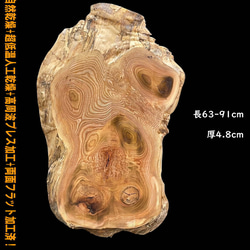 紅椨 極上 C546 一枚板 乾燥材 棚板 カウンター テーブル DIY 耳付 天