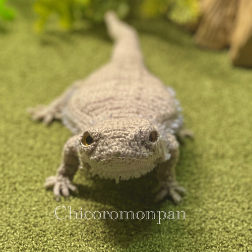 あみぐるみ フトアゴヒゲトカゲ あみぐるみ Chicoromonpan shop 通販