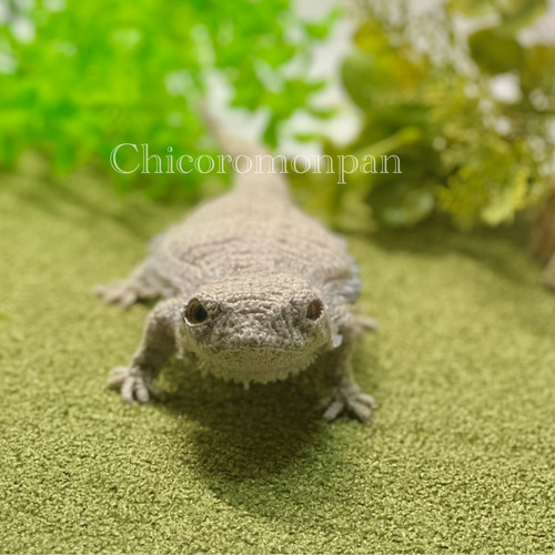 あみぐるみ フトアゴヒゲトカゲ あみぐるみ Chicoromonpan shop 通販