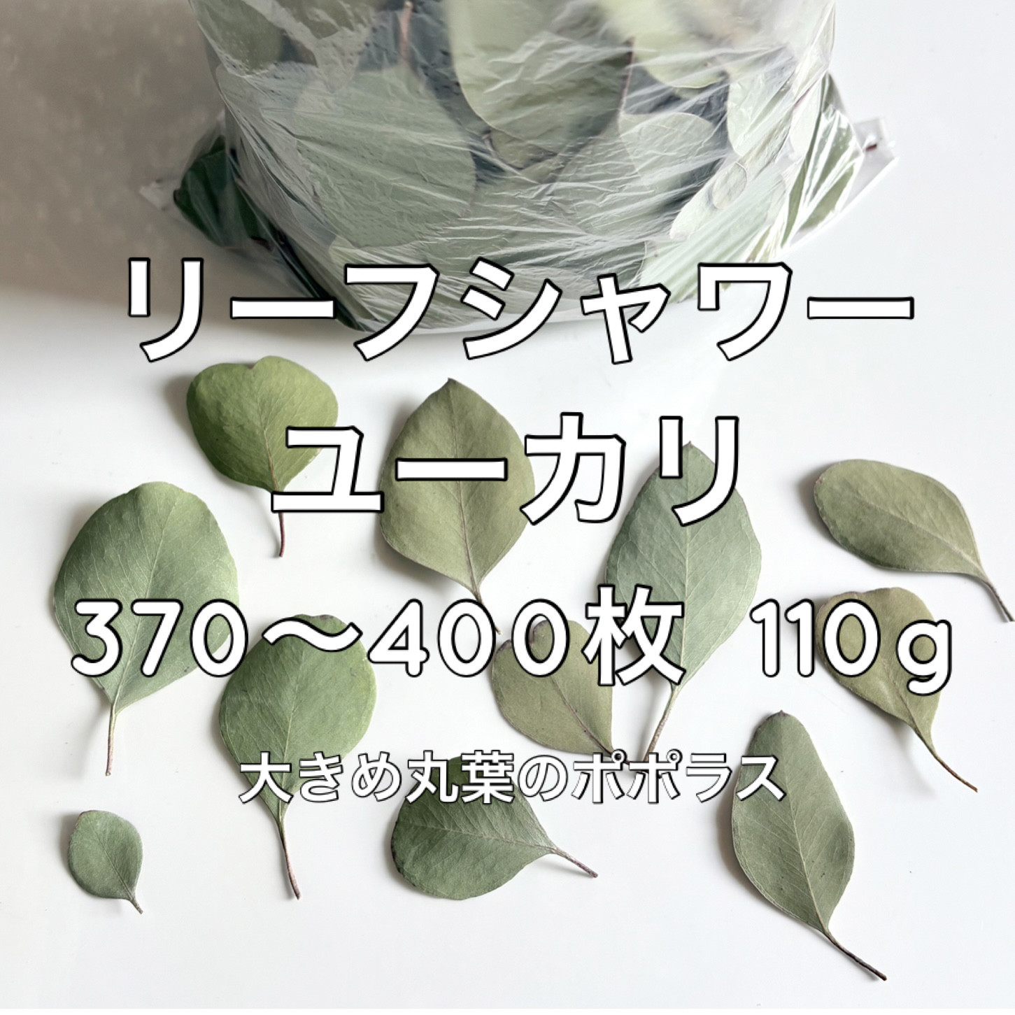 ユーカリポポラス　リーフ650枚 リーフシャワーに、 お得】ユーカリ リーフシャワー 370～400枚 110g ＊ 大きめ丸葉の