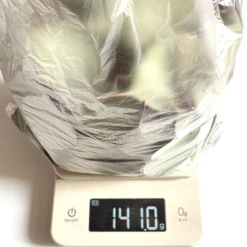 お得】ユーカリ リーフシャワー 470～500枚 140g ＊ 大きめ丸葉の