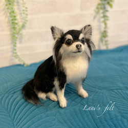 かほーさま専用 羊毛フェルト 額飾り ミニチュアダックスフンド かほーさま確認用 羊毛フェルト 額飾り ミニチュアダックスフンド かほ