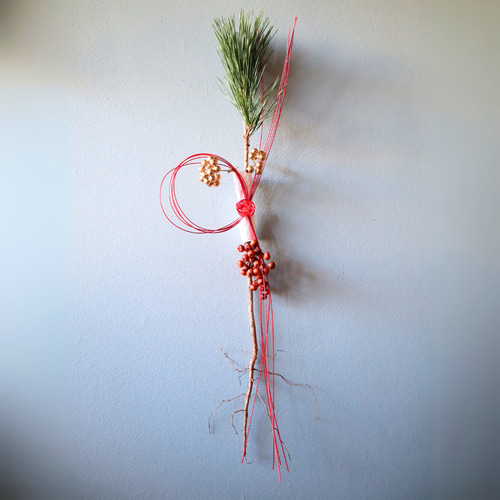 水引結びと根引松のお正月飾り ドライフラワー MOOI -dried flower