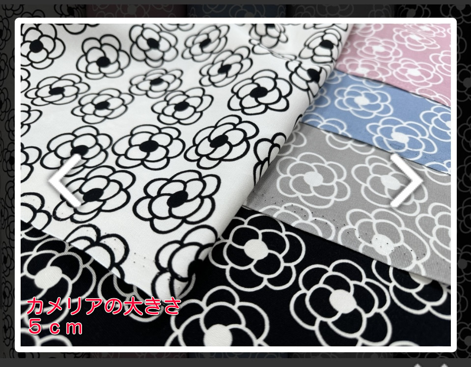 ２WayIGinBucket/ リュック型寝袋