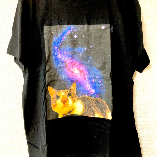 宇宙猫J Tシャツ 嶋 豹 通販 18657855|Creema(クリーマ) 宇宙猫J Tシャツ 嶋 豹 通販 18657855|Creema(クリーマ)