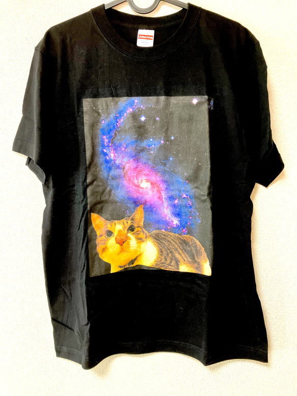 宇宙 ガラスの猫 - メルカリ