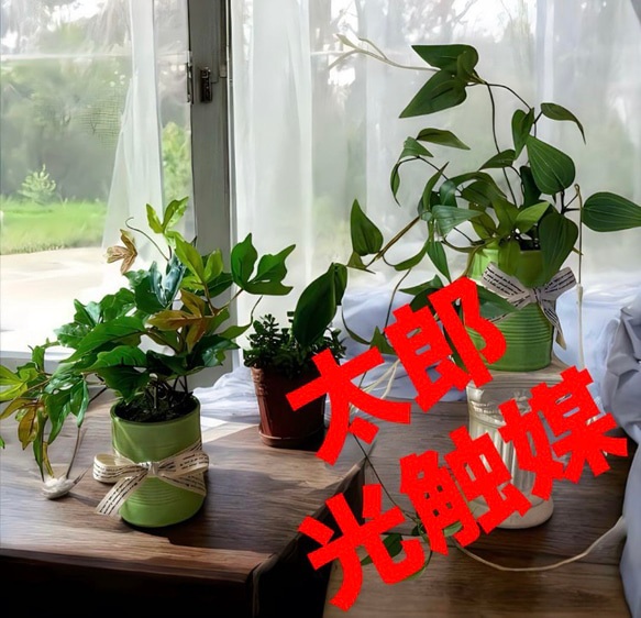 光触媒 人工観葉植物 ウォールグリーン フェイクグリーン ライムポトスMIX