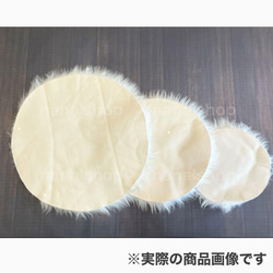  第11張的照片