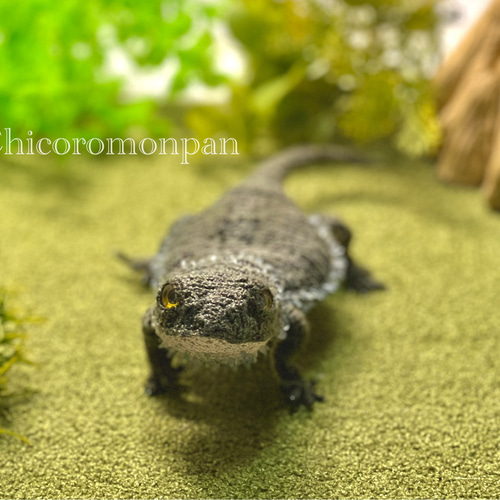 あみぐるみ フトアゴヒゲトカゲ あみぐるみ Chicoromonpan shop 通販