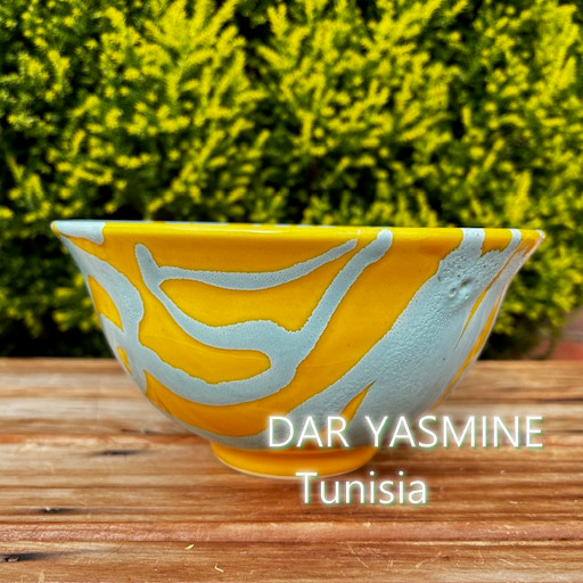 ハネン カラフル陶器 ボウル 洋食器 ラムドンLamDong LDCT 中皿 ABOU