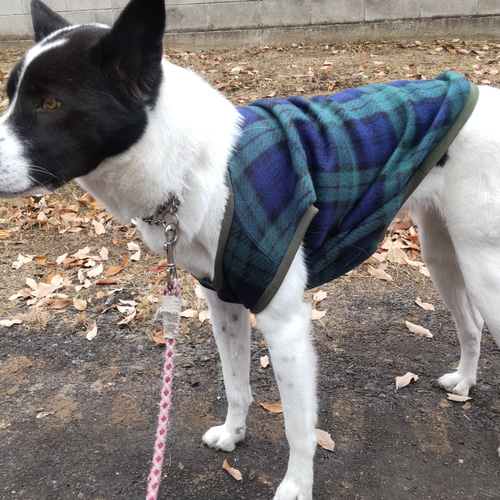 大型犬服 フリースタンクトップ＆ワンピース 【専用】 フリースタンクトップ 【中型・大型犬向け】 ペット服