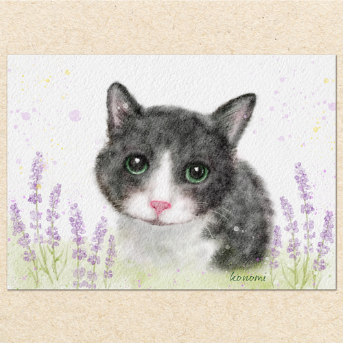 色鉛筆画✭愛猫愛犬✭ペット似顔絵　オーダー受付　ページです♪1 プロがお描きするペットの絵・オーダーメイド愛犬の絵・愛猫の絵
